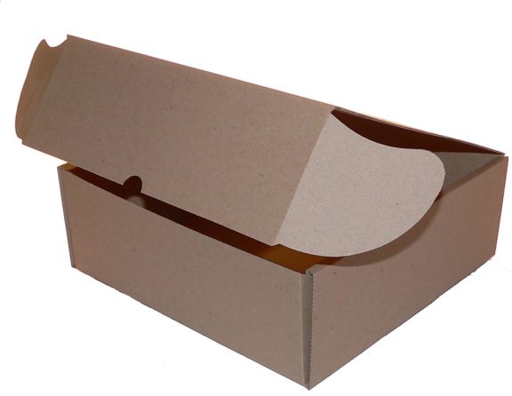 Cutie de carton cu autoformare