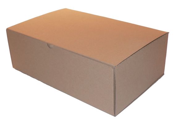 Cutie de carton cu autoformare