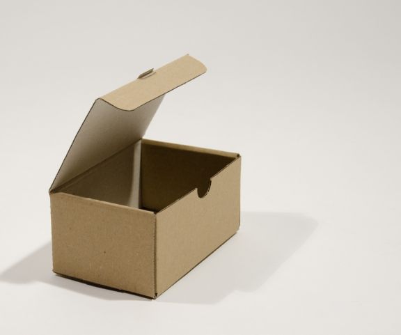 Cutie de carton cu autoformare