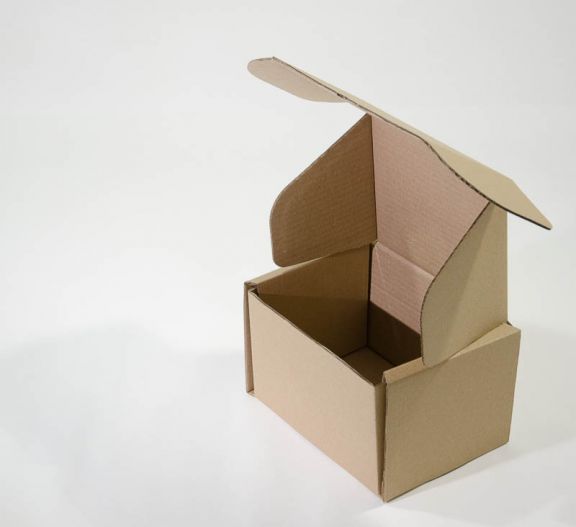 Cutie de carton cu autoformare