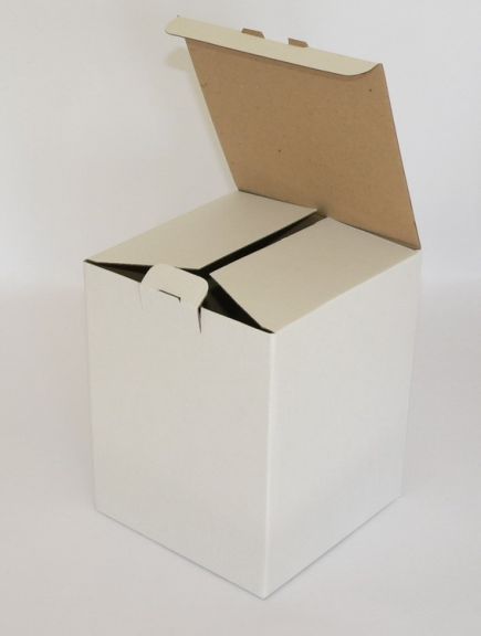 Cutie de carton cu autoformare