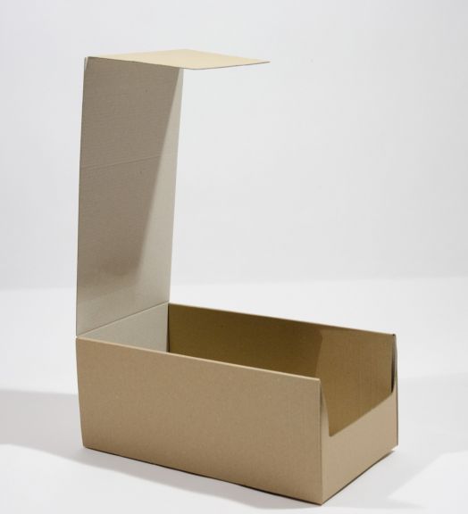 Tăviţă din carton