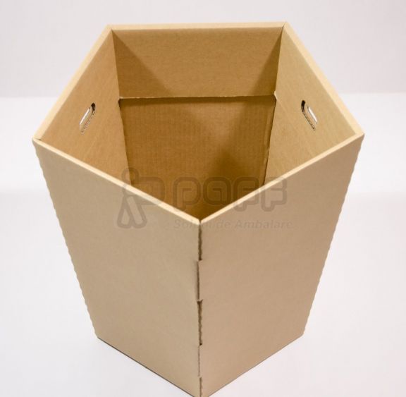 Ambalaje atipice de carton