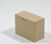 Cutie de carton cu autoformare