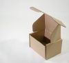 Cutie de carton cu autoformare
